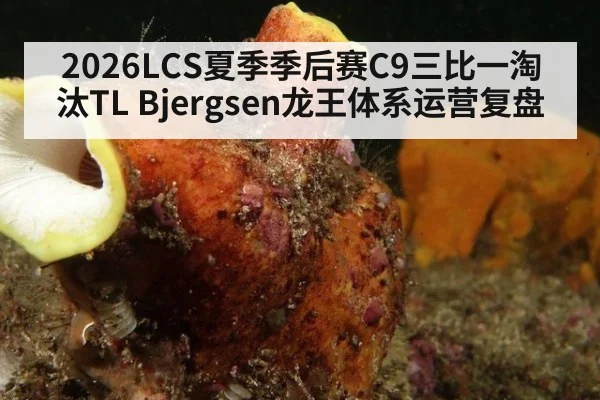 2026LCS夏季季后赛C9三比一淘汰TL Bjergsen龙王体系运营复盘
